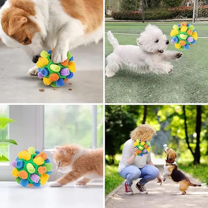 Crazy Little Tongues - an innovative dog toy