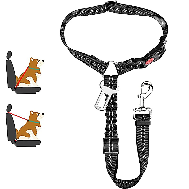 Dog car leash - seatbelt