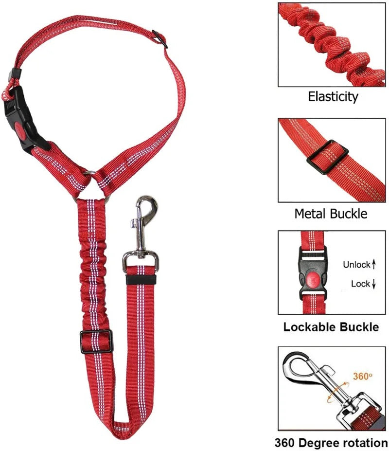 Dog car leash - seatbelt