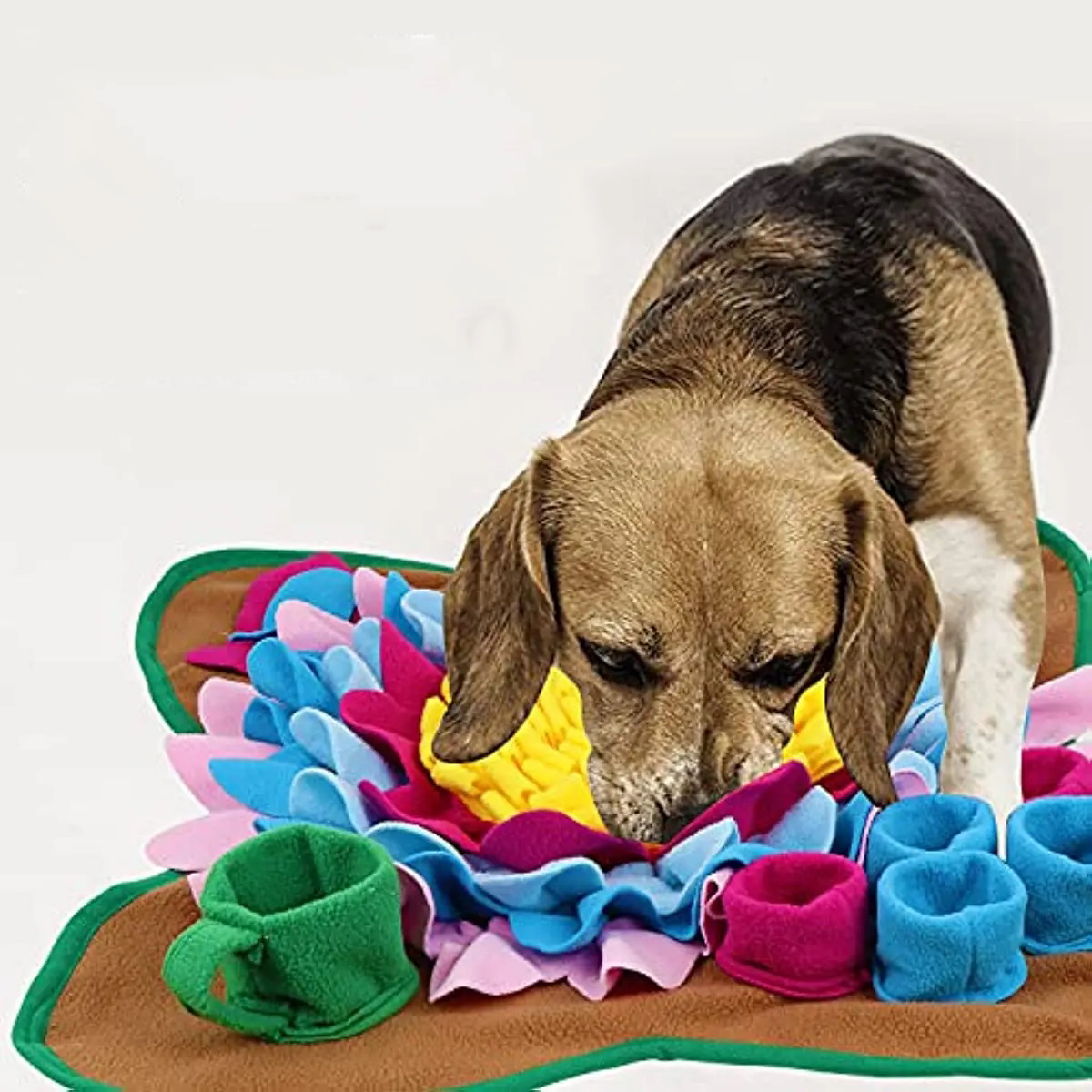 Dog sniffing mat