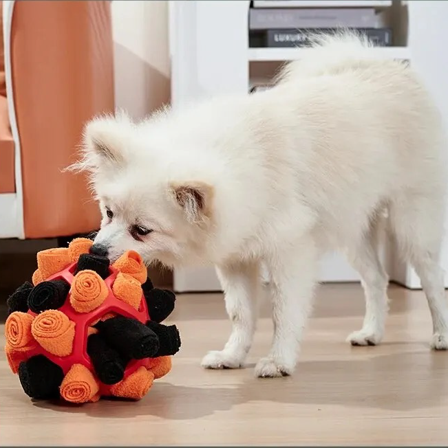 Crazy Little Tongues - an innovative dog toy