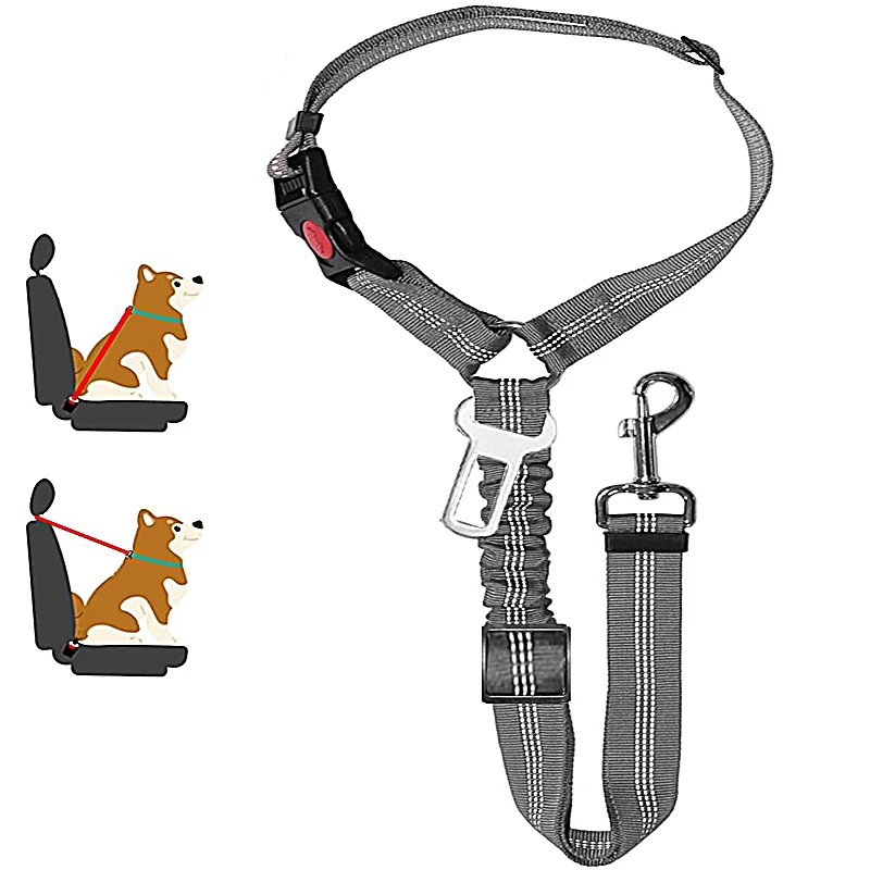 Dog car leash - seatbelt