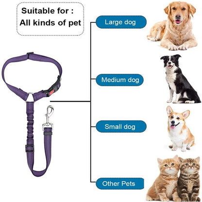 Dog car leash - seatbelt