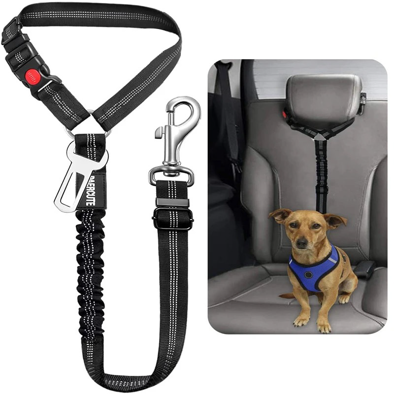 Dog car leash - seatbelt